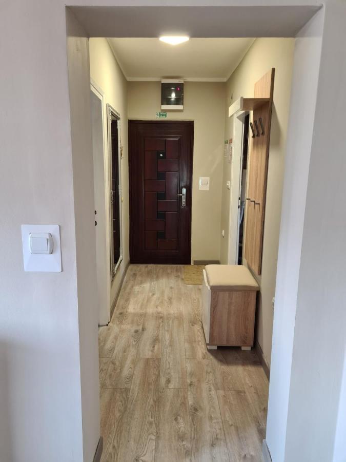 Apartman Petrov Доньи-Милановац Экстерьер фото